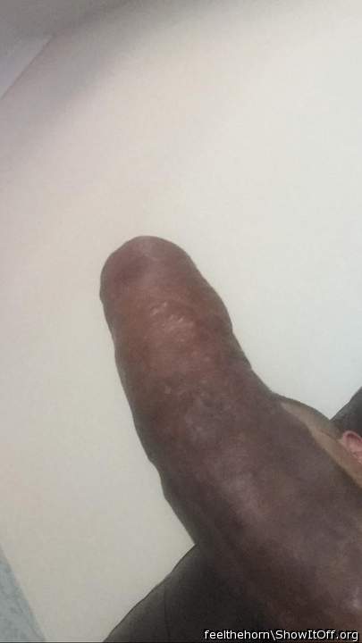 Adult image from feelthehorn