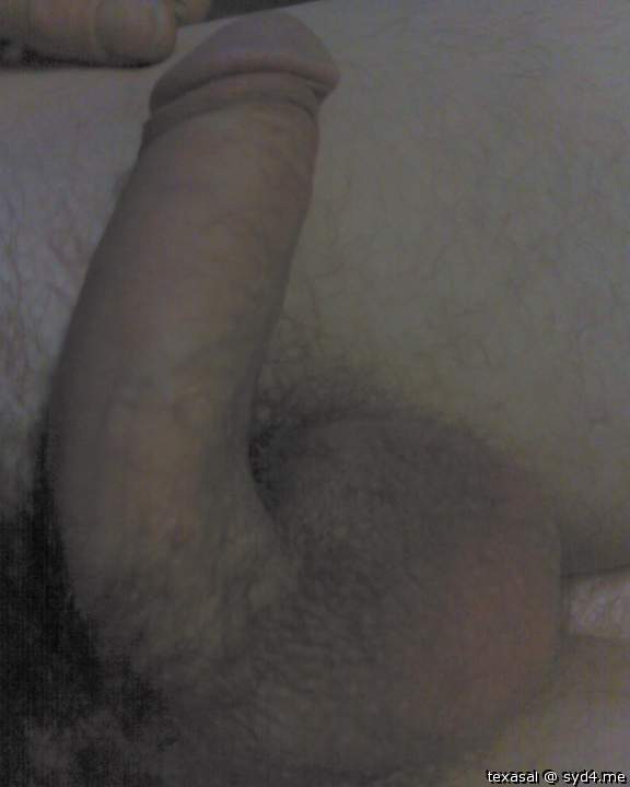 Adult image from texasal