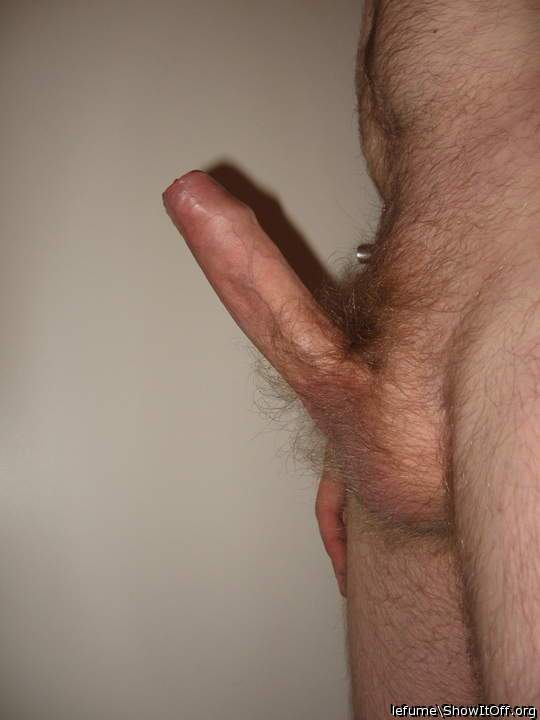 Impressive hairy uncut cock 