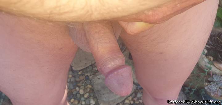 Adult image from Stiffcock59
