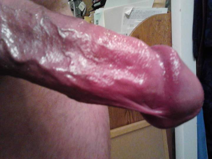 Adult image from fish4free