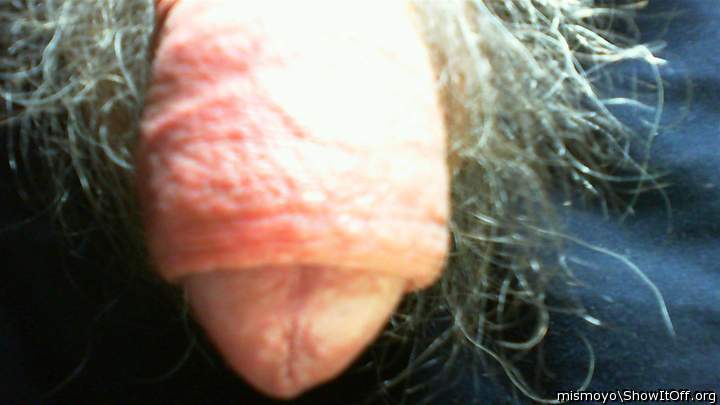Adult image from mismoyo