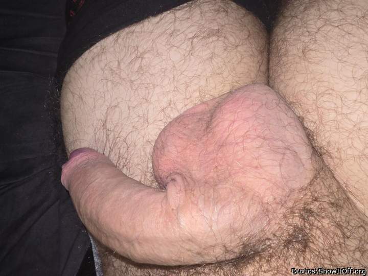 Adult image from Duxtos