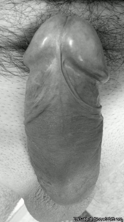 Adult image from TNT-48-8