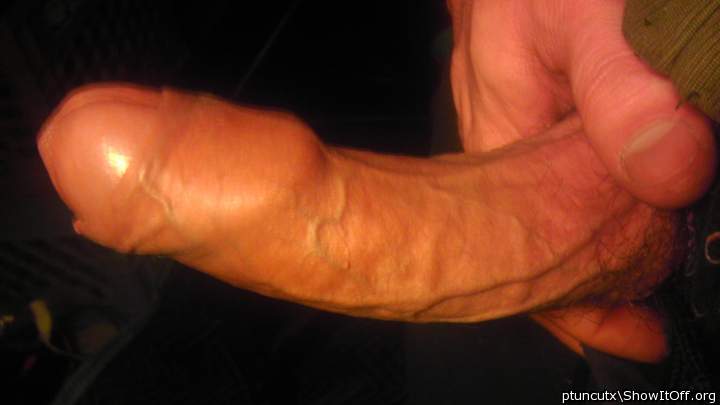 Adult image from ptuncutx