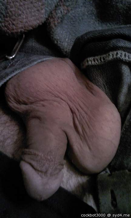 I'd love to suck on those big soft nuts!