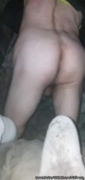 Adult image from JacobRider666