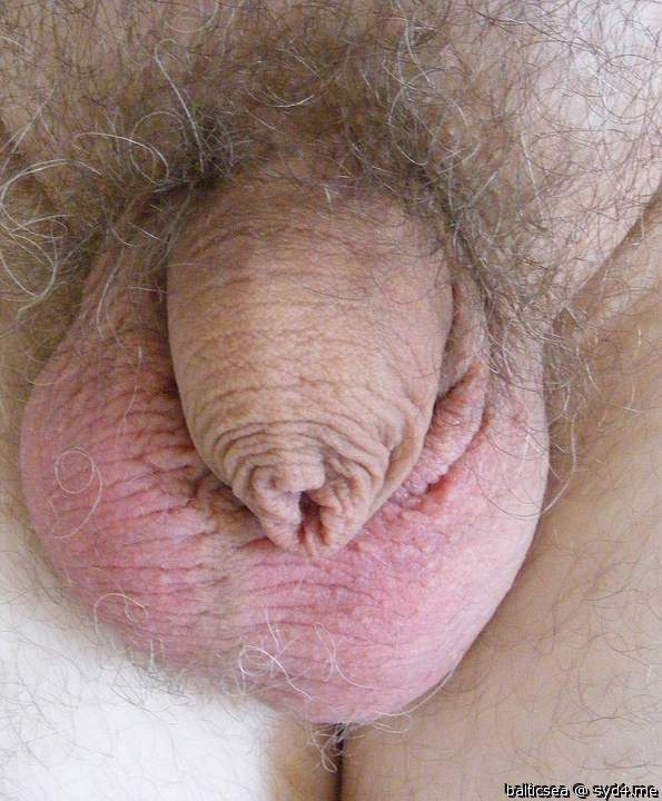 Adult image from balticsea
