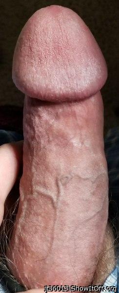 Adult image from jt36013