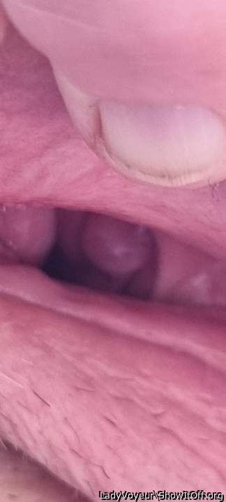 67 Still self lubed