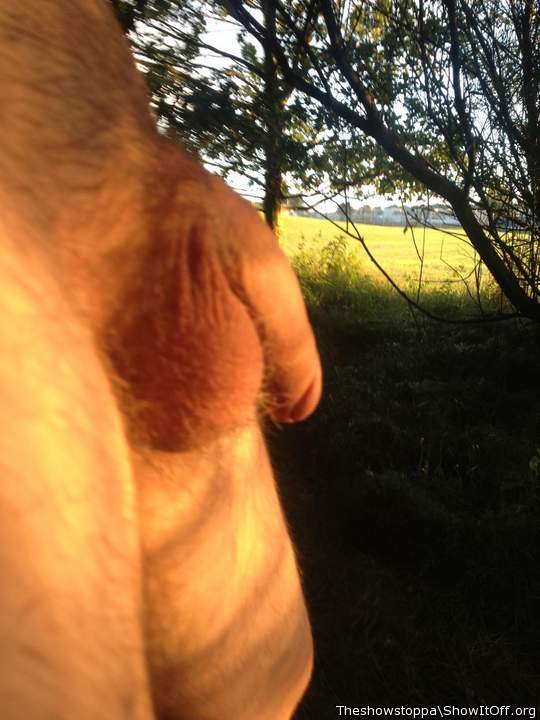 Adult image from Theshowstoppa