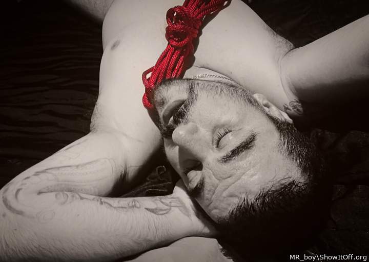 Adult image from MR_boy