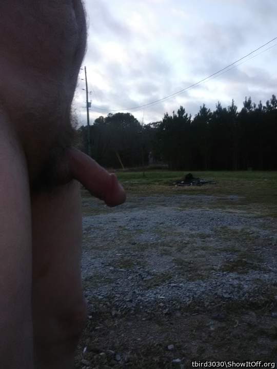 Adult image from tbird3030