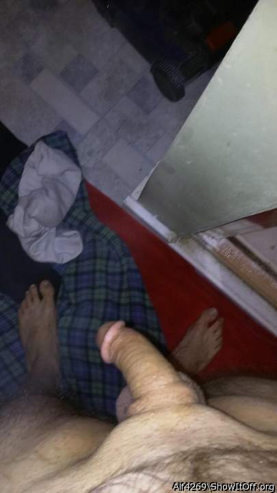 Adult image from Alf4269
