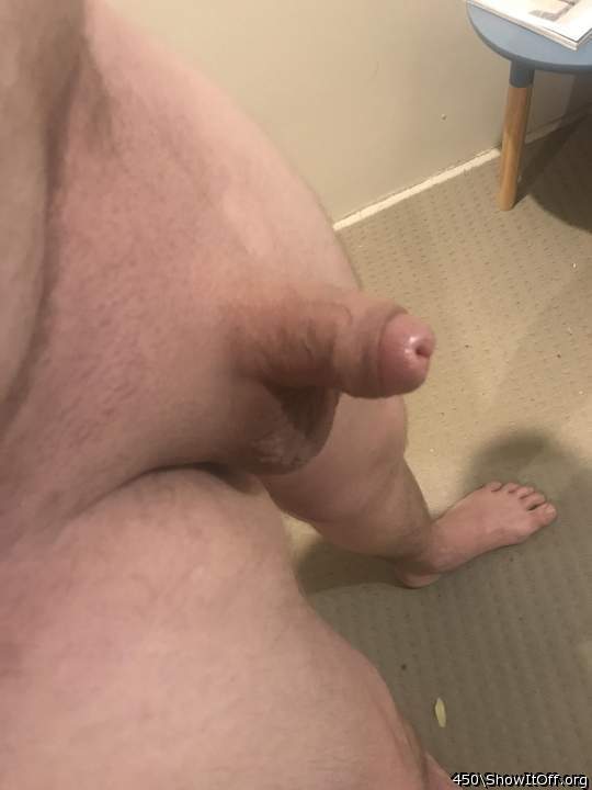 Adult image from 450