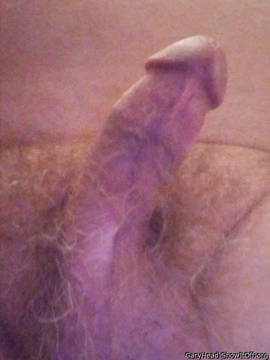 Adult image from GaryHead