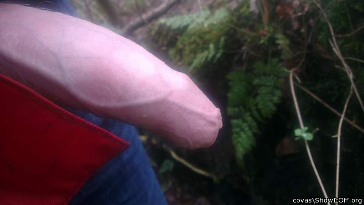 Adult image from covas