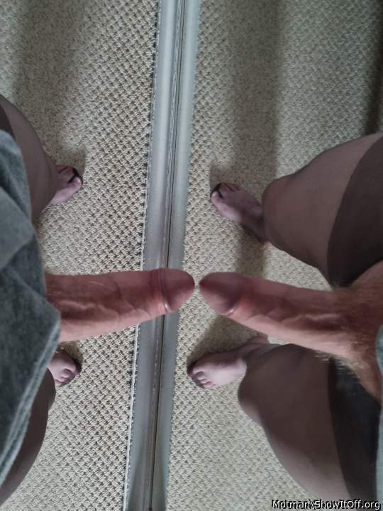 Adult image from Motman