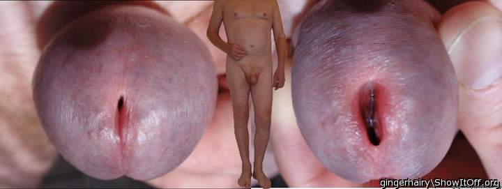 Adult image from gingerhairy