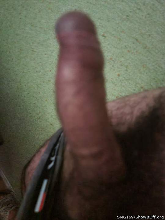 Adult image from SMG169