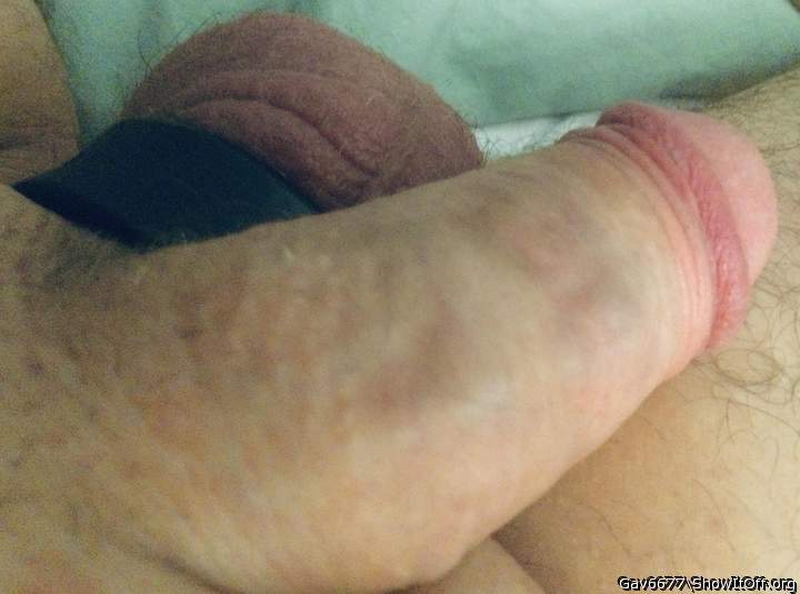 Adult image from Gav6677