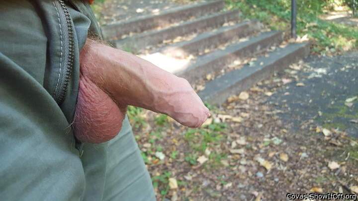 Lovely cute dick and balls