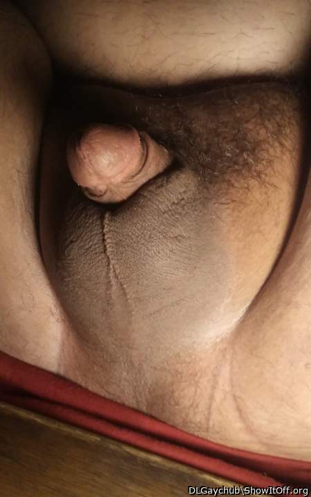 Adult image from DLGaychub
