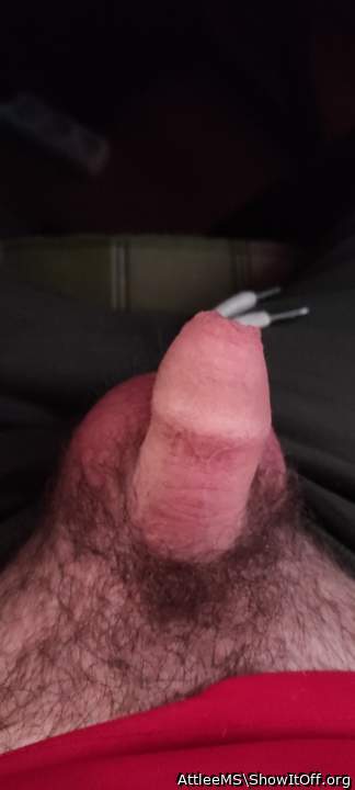 Adult image from AttleeMS