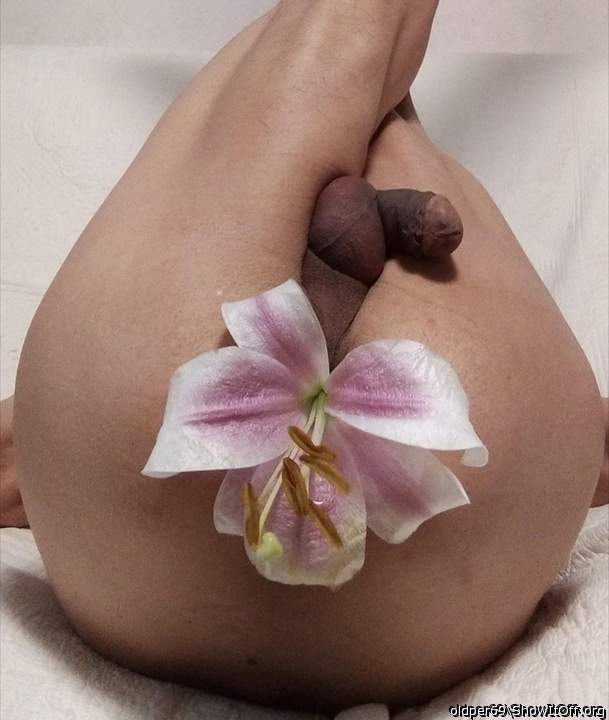 Can I plant some seed in your garden?      