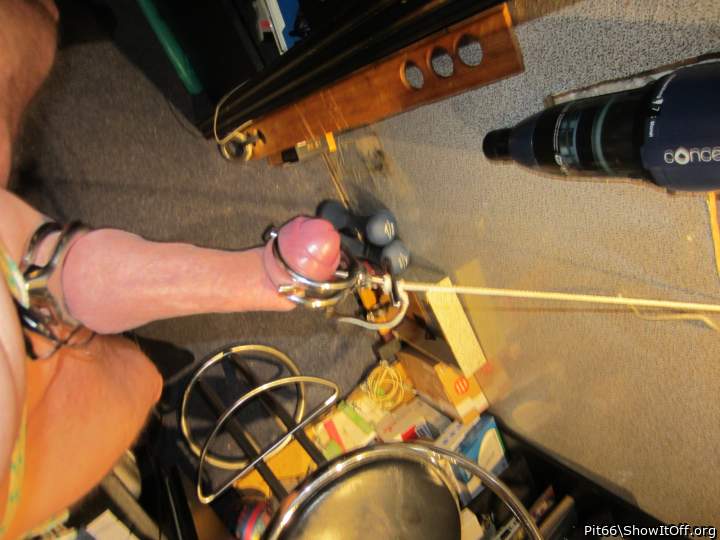 Adult image from Pit66