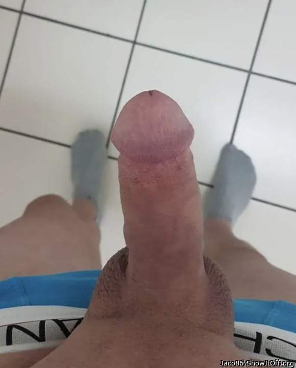 Adult image from Jaco86