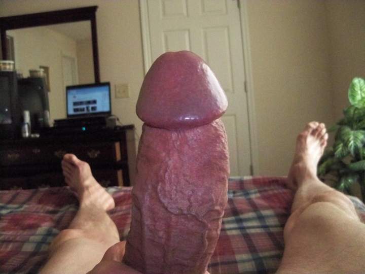 Adult image from jo64