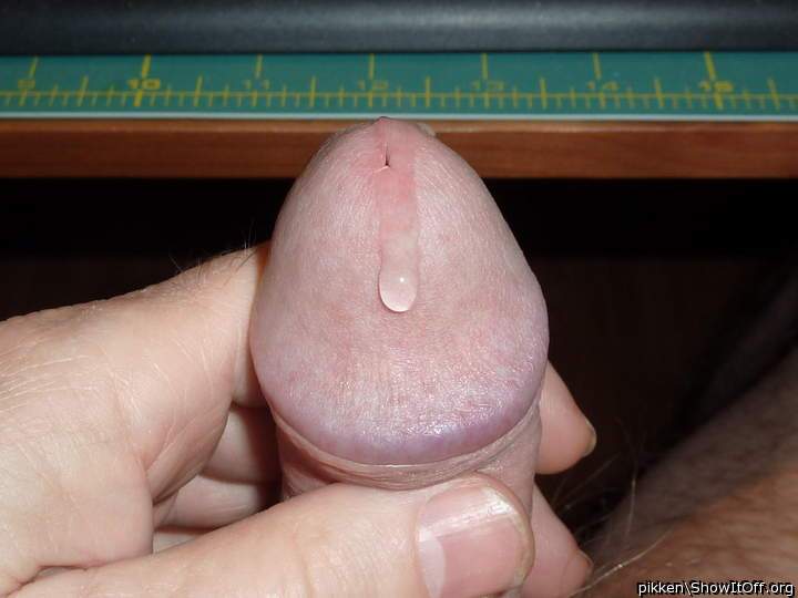 Adult image from pikken