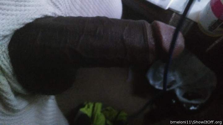 Adult image from bmeloni11