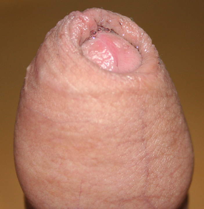 Adult image from nylonlover