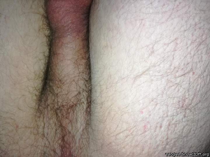 Adult image from FagExposureBln