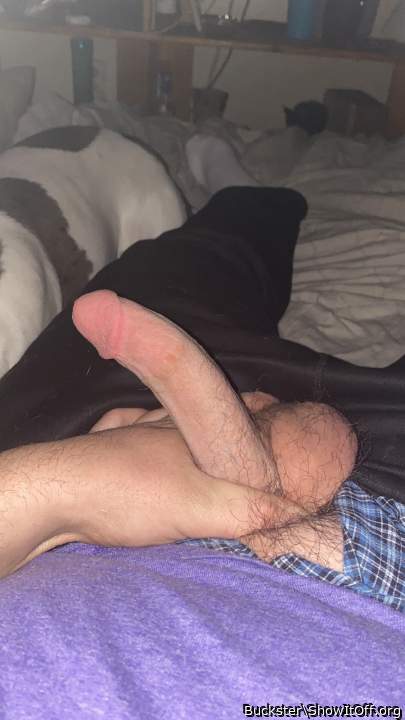 Adult image from Buckster