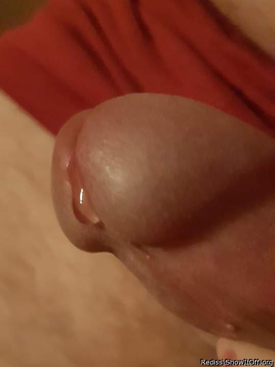 Adult image from Rediss