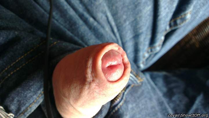 Adult image from covas