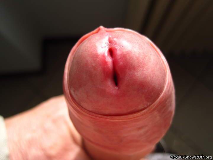 Adult image from Dick88