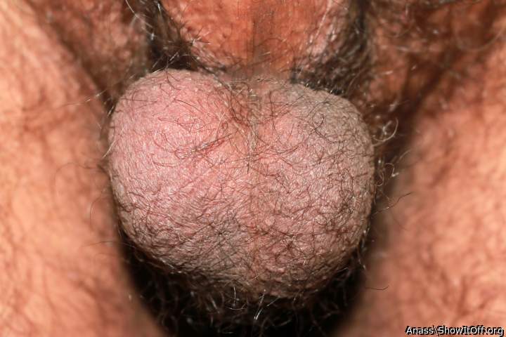 Adult image from Anass