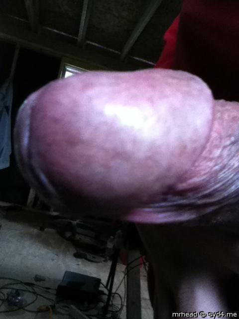 Adult image from Mrhead