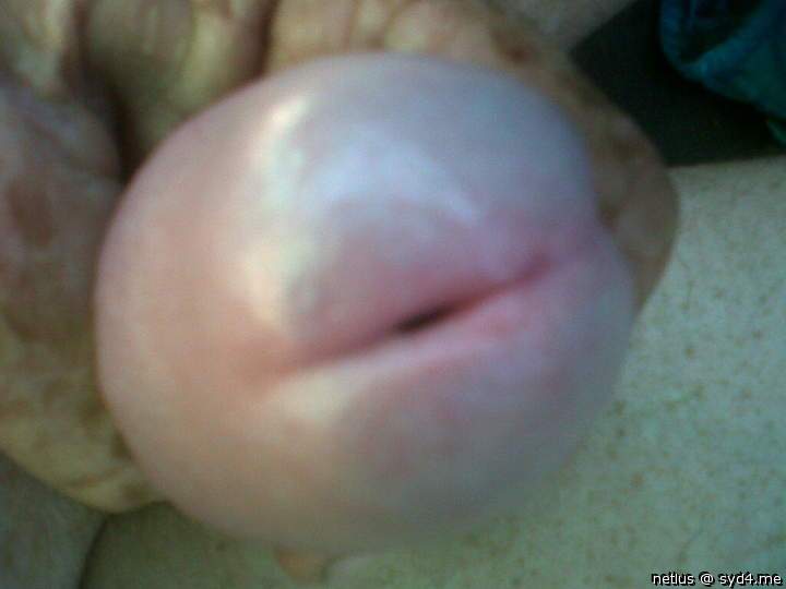 Adult image from netlus