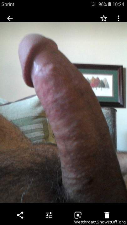 Adult image from Wetthroat