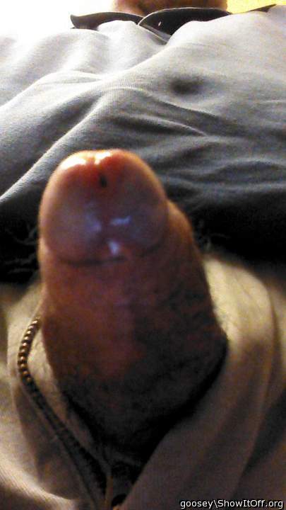 Adult image from Goosey