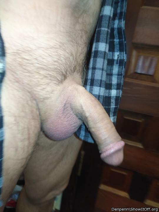 Adult image from Denpenn