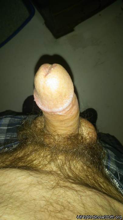 Adult image from Alf4269