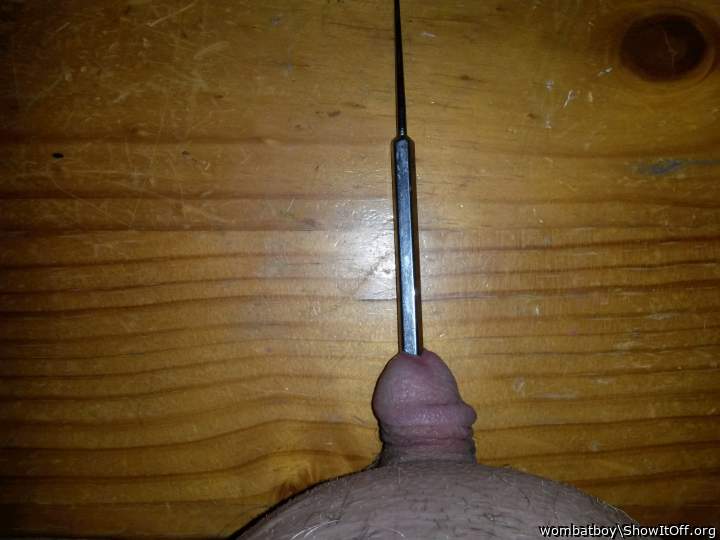 Adult image from wombatboy