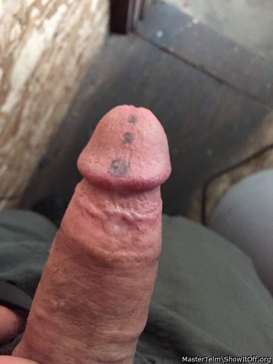 Adult image from MasterTelm