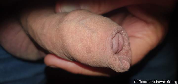 Adult image from Stiffcock59